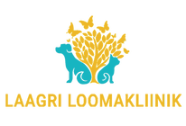 Laagri Animal Clinic